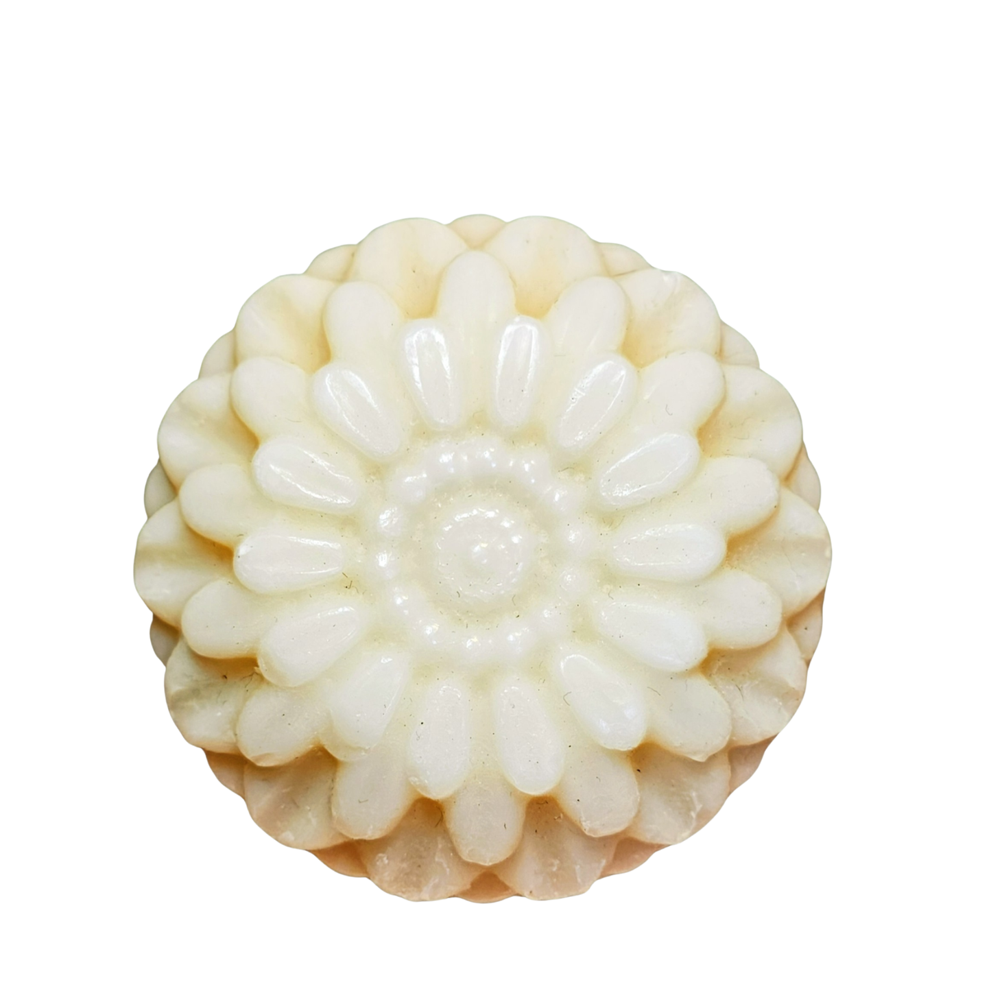 Organic Vegan Aloe Vera Soap